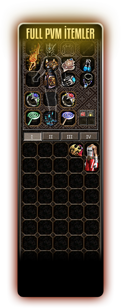 pvm_itemleri.png